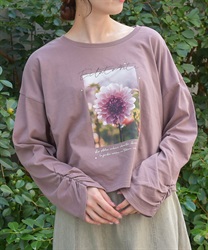 アソートデザインＴシャツ【期間限定価格】(茶-F)