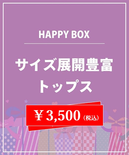 【HAPPY BOX】【予約】サイズ展開豊富トップス３点セット【Web限定商品】【別配送】