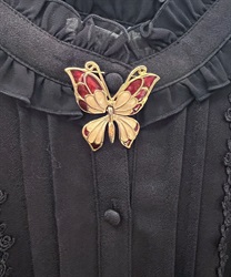 ステンドパピヨンブローチ(グロス-F)