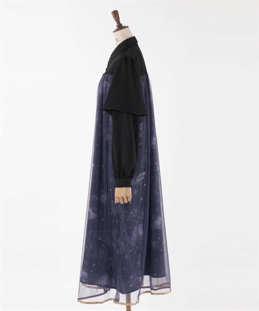 axes femme（アクシーズファム）の「ステラートプリントシャツ