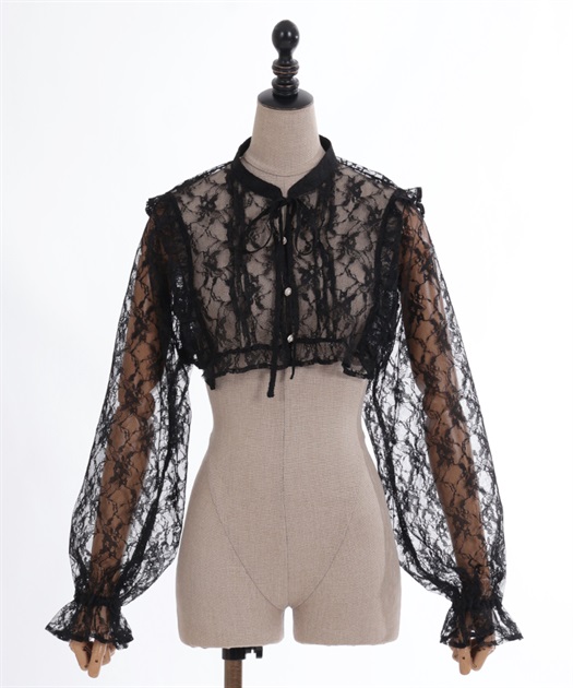 シアーレースショートブラウス | outlet | axes femme online shop シアーレースショートブラウス | outlet | axes femme online shop