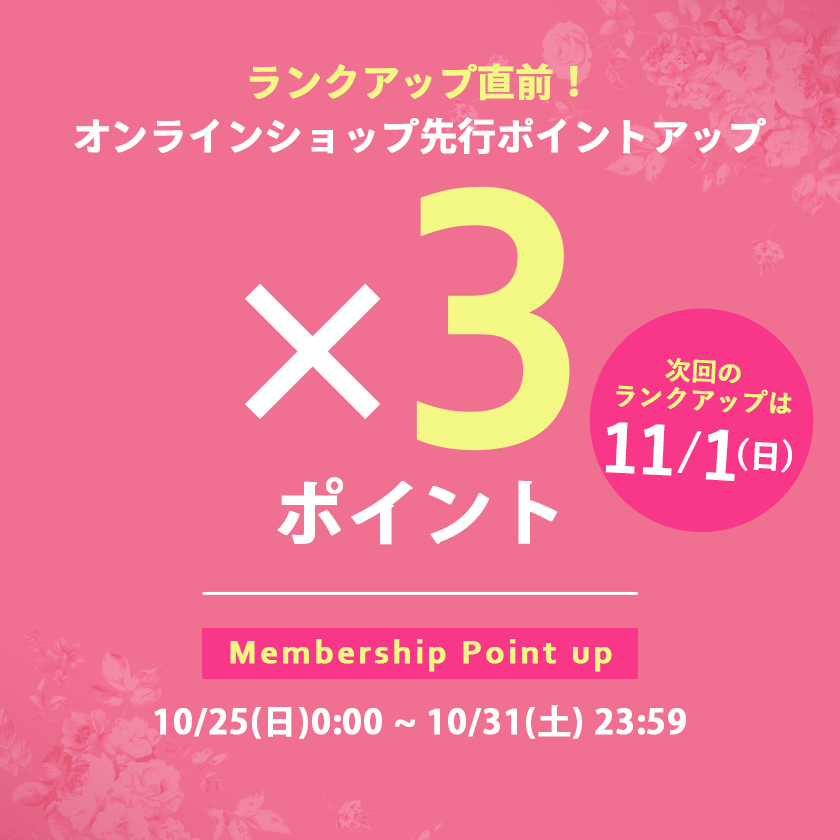 WEB限定ポイント3倍