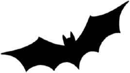 alt_text