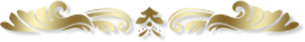 多屋来夢 動画
