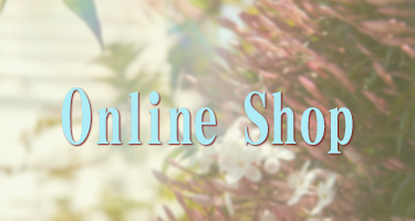 OnlineStore