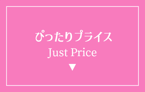 Just Price