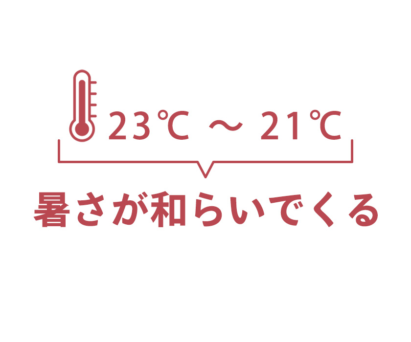 alt_text