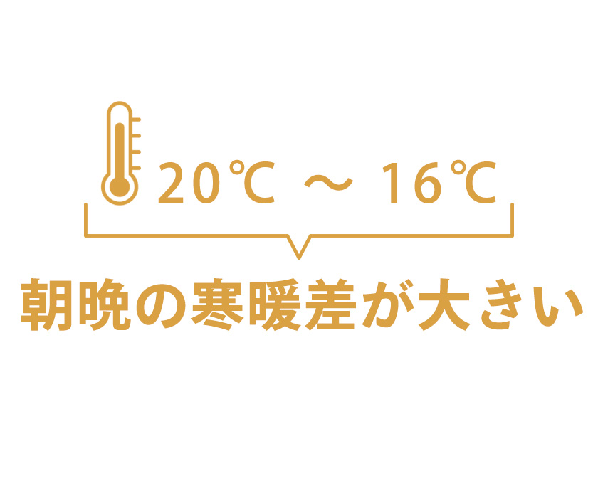 alt_text